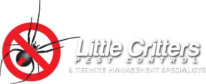 Little Critters Pest Control Logo displaying a spider and text