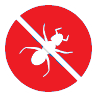 ants logo red