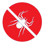 spiders logo red